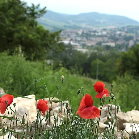 Bed & Breakfast La Maesta'